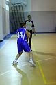 Basket 252004